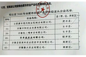 2020年合肥市农业产业化市级龙头老版玉米视频下载无限观看